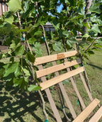 Close up of Bloodgood Sycamore Living Tree Chair saddle, included with your purchase of this tree the tree saddle makes a nice bench like seat perfect for relaxing after a hard day of yard work
