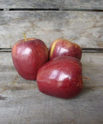 Dark Red Delicious Apples, 3 round dark red-skinned fruit with yellow-green blushes on a table