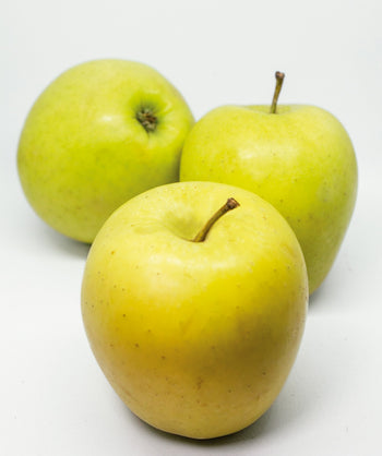 The golden yellow-to light green fruit of the Gibson Yellow Delicious Apple