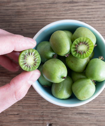 A blue bowl containing the small, grape-sized green fruit of the Issai Hardy Kiwi with a person holding half of one that has been cut open - showing the yellow center, tiny brown seeds and green flesh of the fruit