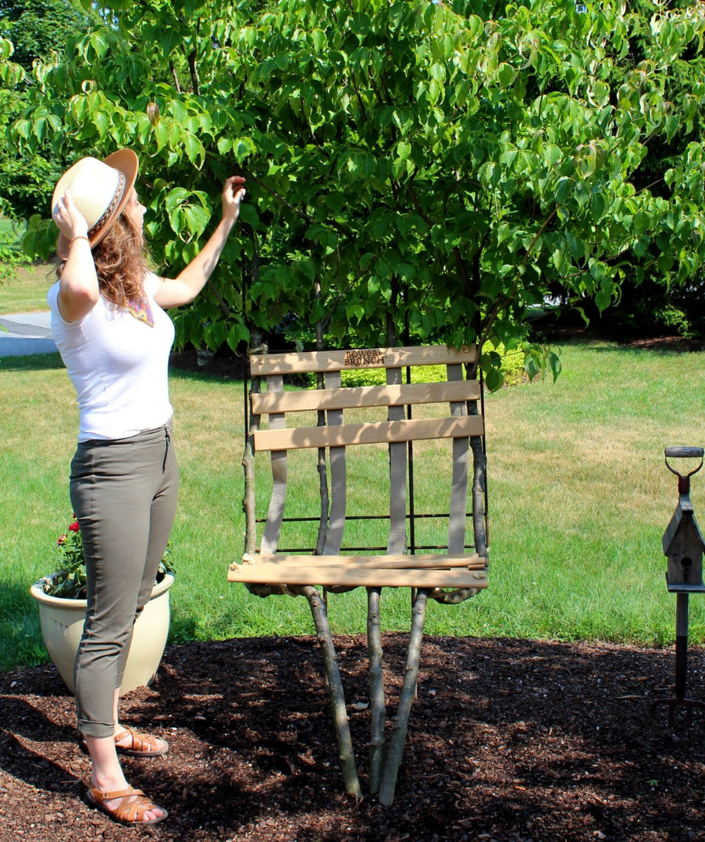 Living Tree Chair