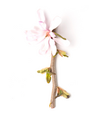 Leonard Messel Magnolia branch on white, lavender-pink colored fragrant flower that is lighter on top with a darker underside on a light brown branch with tan speckles as new leaves begin to emerge