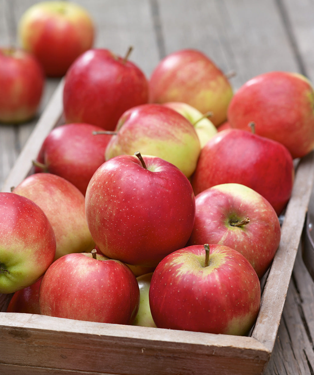 A wooden box of SnowSweet Apples, various round red apples with light green blush and small white speckles