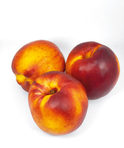 Red Gold Nectarine yellow fruit with red blush