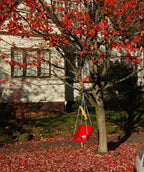 A large Red Sunset Maple in a landscape setting showcasing its brilliantly red fall color with fallen red leaves on the ground