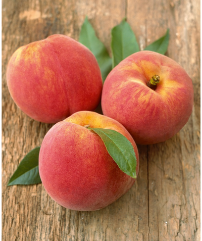 Reliance Peach fruit on a table, 3 fuzzy round fruits that are red in color with yellow blush