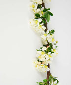 Sargent Tina Flowering Crabapple branch abundant with white flowers with bright yellow stamens and green leaves