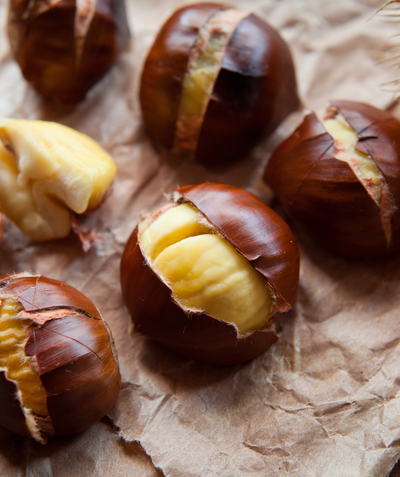 The dark brown chestnuts of the Sleeping Giant Chinese Chestnut, cracked open to expose the beige-golden meat within